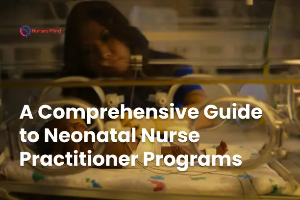 A Comprehensive Guide to Neonatal Nurse Practitioner Programs