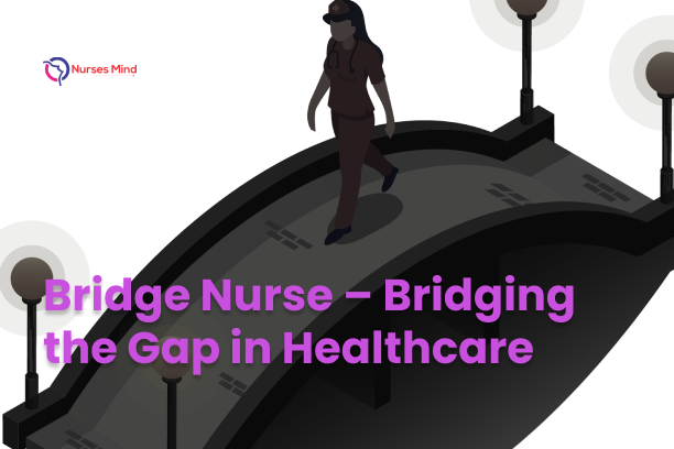 Bridge Nurse – Bridging the Gap in Healthcare