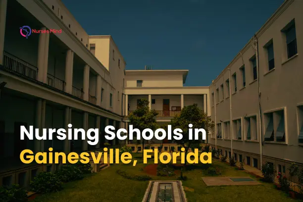 Nursing Schools in Gainesville, Florida: A Comprehensive Guide