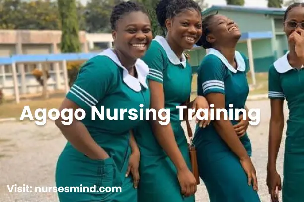 Agogo Nursing Training