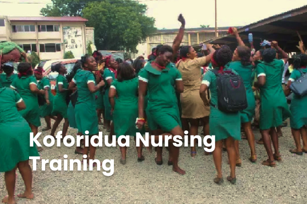  Koforidua Nursing Training: Developing Health Entrepreneurs 