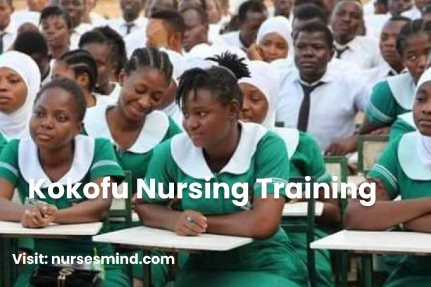 Kokofu Nursing Training Application Form