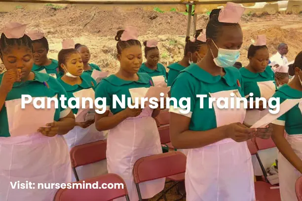 Pantang Nursing Training