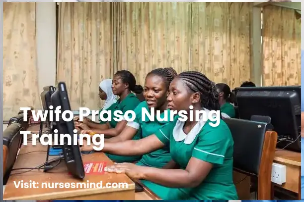 Twifo Nursing Training: A Comprehension Guide